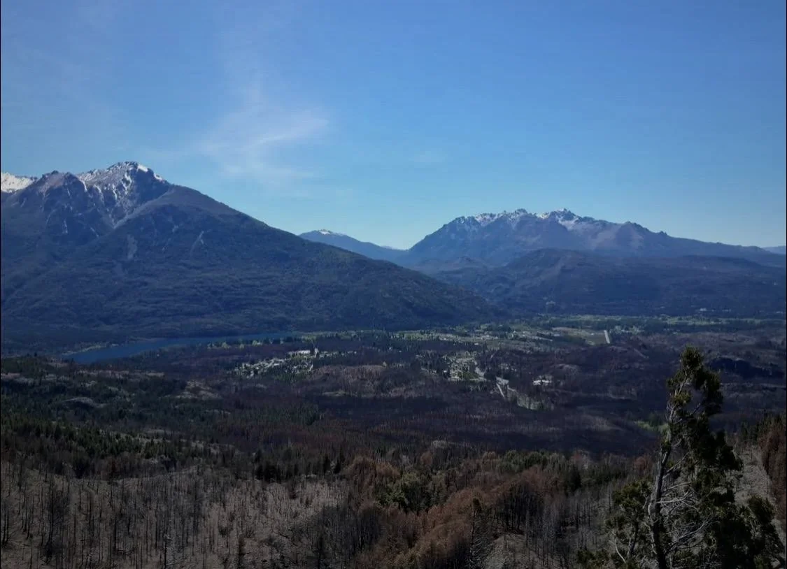 Bosque y montañas del ejido de Epuyén